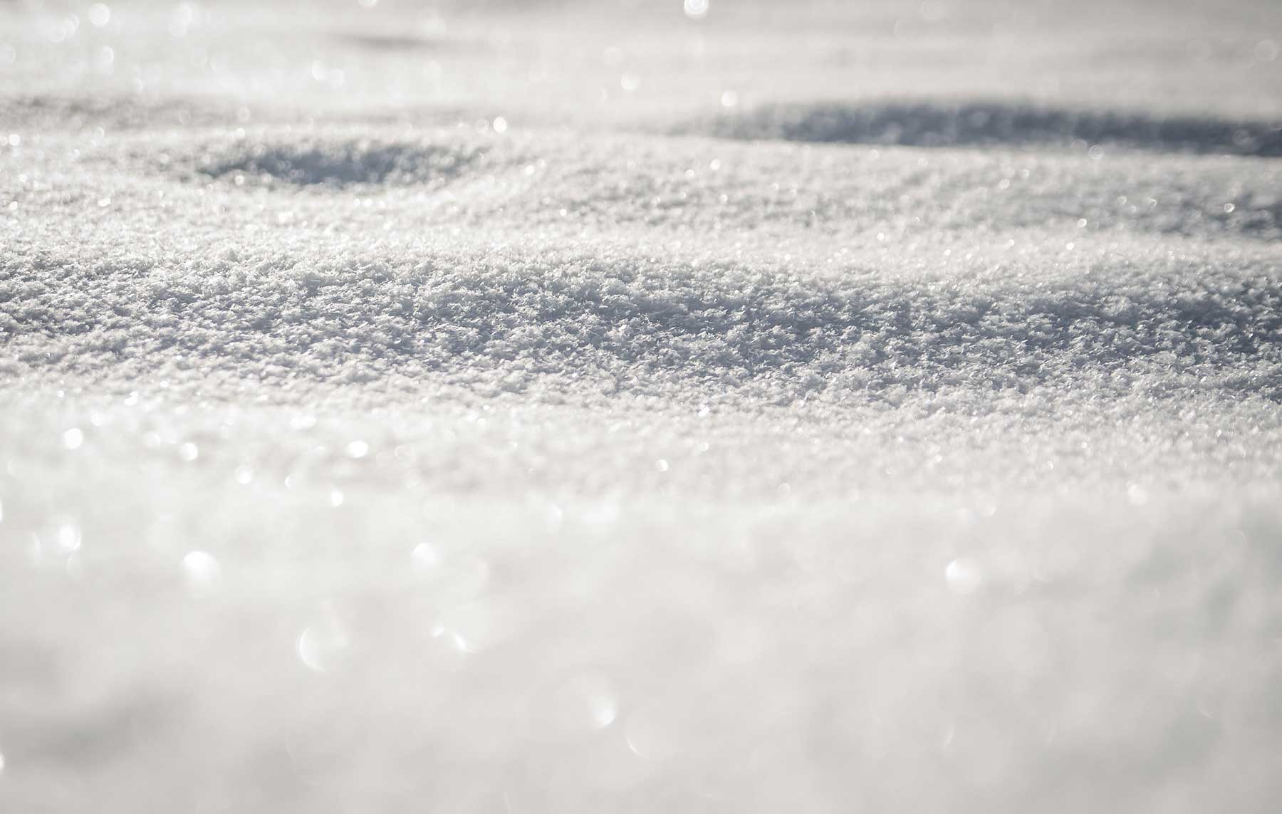cold-snow-white-60561