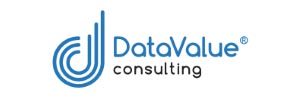 datavalueconsulting